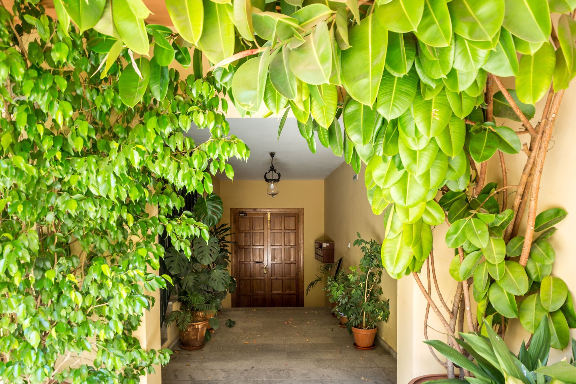 Amparo Cinco Apartment Kordoba Bagian luar foto