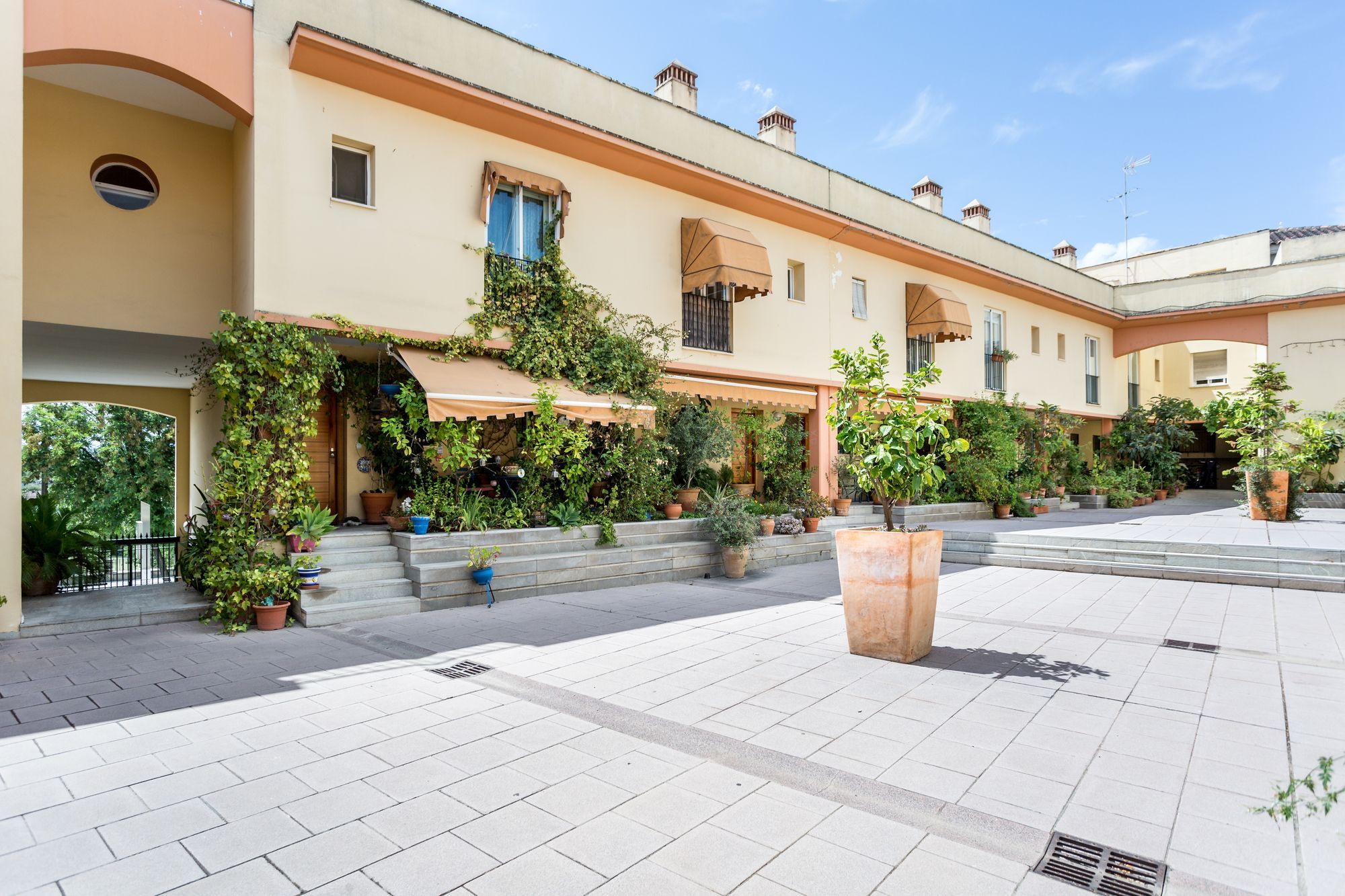 Amparo Cinco Apartment Kordoba Bagian luar foto